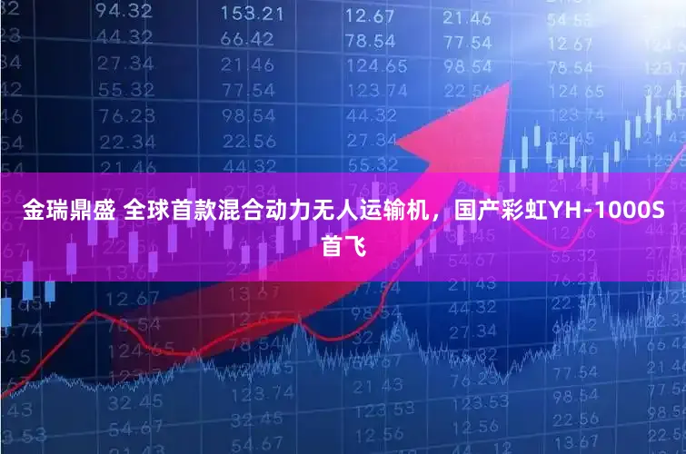 金瑞鼎盛 全球首款混合动力无人运输机，国产彩虹YH-1000S首飞