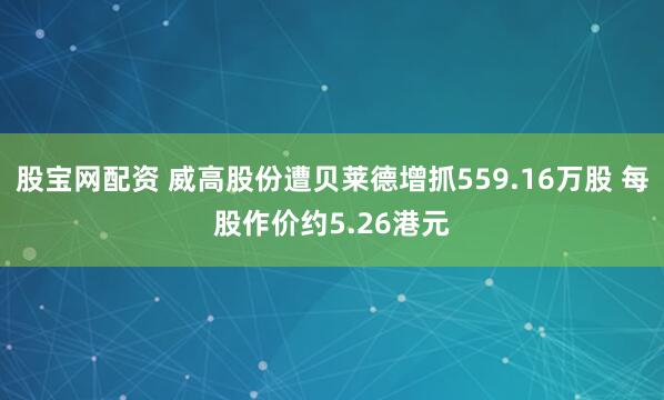 股宝网配资 威高股份遭贝莱德增抓559.16万股 每股作价约5.26港元