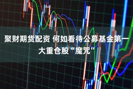聚财期货配资 何如看待公募基金第一大重仓股“魔咒”