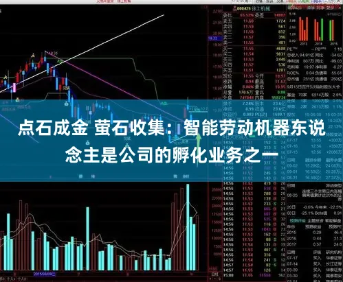 点石成金 萤石收集：智能劳动机器东说念主是公司的孵化业务之一