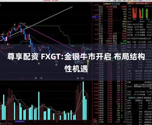 尊享配资 FXGT:金银牛市开启 布局结构性机遇