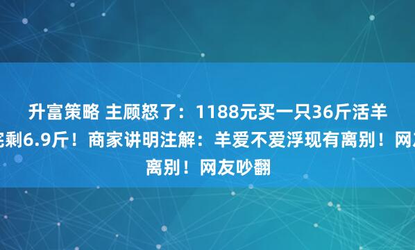 升富策略 主顾怒了：1188元买一只36斤活羊，烤完剩6.9斤！商家讲明注解：羊爱不爱浮现有离别！网友吵翻