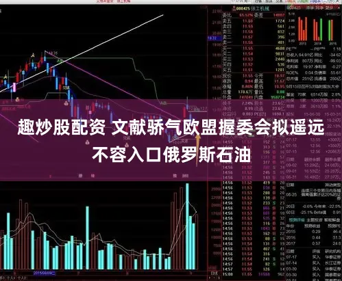 趣炒股配资 文献骄气欧盟握委会拟遥远不容入口俄罗斯石油