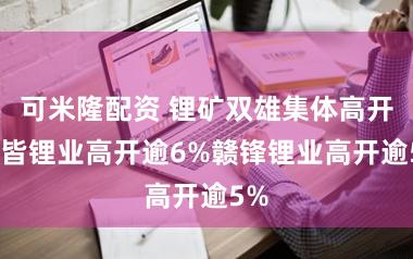 可米隆配资 锂矿双雄集体高开 天皆锂业高开逾6%赣锋锂业高开逾5%