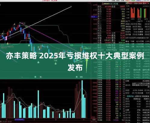亦丰策略 2025年亏损维权十大典型案例发布