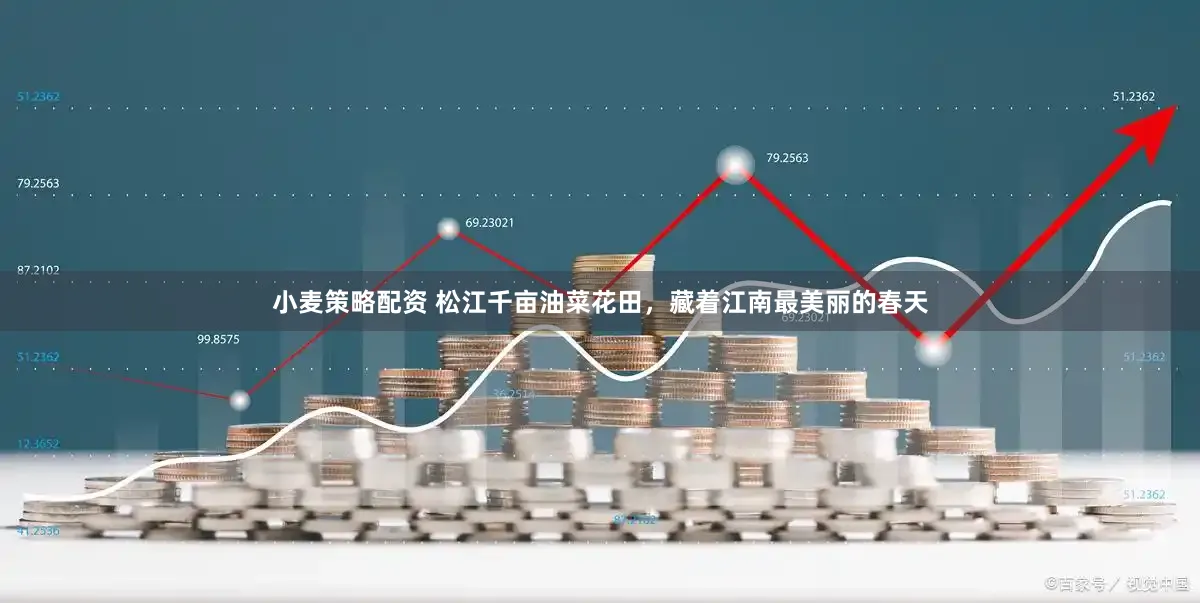 小麦策略配资 松江千亩油菜花田，藏着江南最美丽的春天