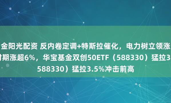 金阳光配资 反内卷定调+特斯拉催化,电力树立领涨两市!宁德时期涨超6%,华宝基金双创50ETF(588330)猛拉3.5%冲击前高