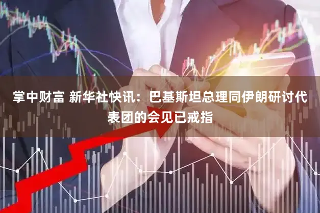 掌中财富 新华社快讯：巴基斯坦总理同伊朗研讨代表团的会见已戒指