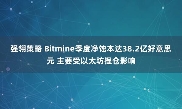 强翎策略 Bitmine季度净蚀本达38.2亿好意思元 主要受以太坊捏仓影响