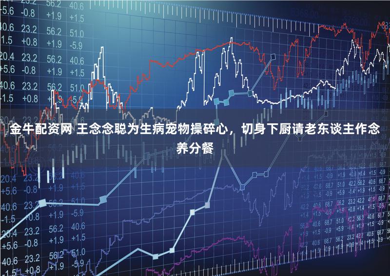 金牛配资网 王念念聪为生病宠物操碎心，切身下厨请老东谈主作念养分餐