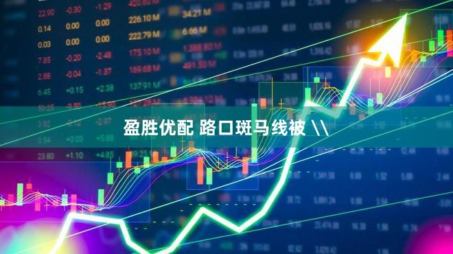 盈胜优配 路口斑马线被 \