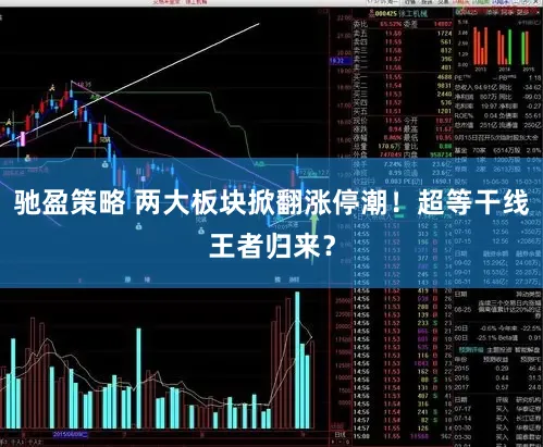 驰盈策略 两大板块掀翻涨停潮！超等干线王者归来？